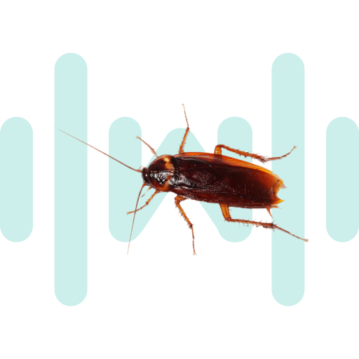 I Live With Roaches SoundBoard thumbnail