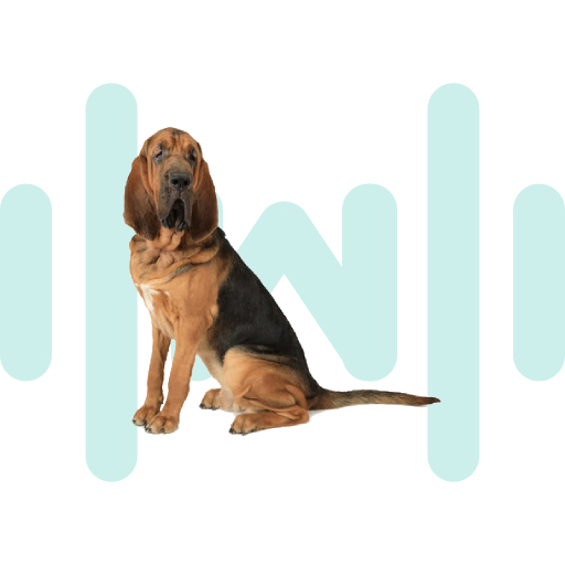 Bloodhound SoundBoard thumbnail