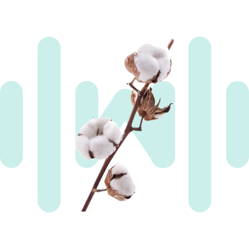 Cotton Picking SoundBoard thumbnail