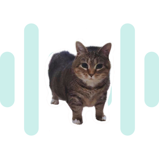 Oiia Cat SoundBoard thumbnail