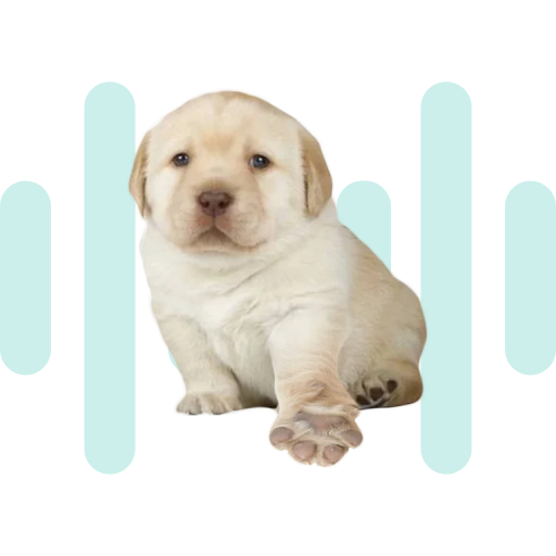 Puppy SoundBoard thumbnail